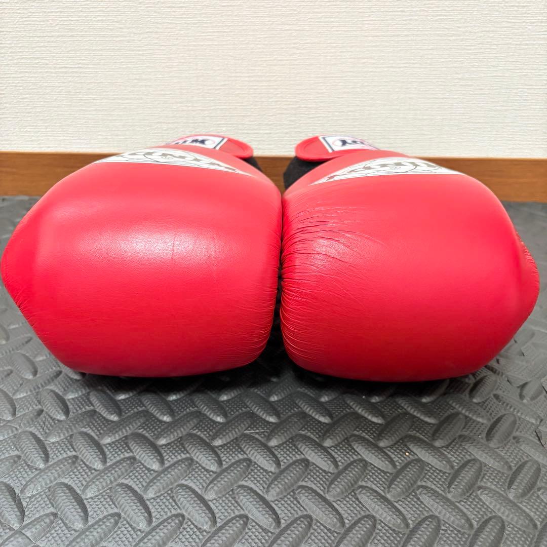 WINDY ボクシンググローブ 10 oz レッド