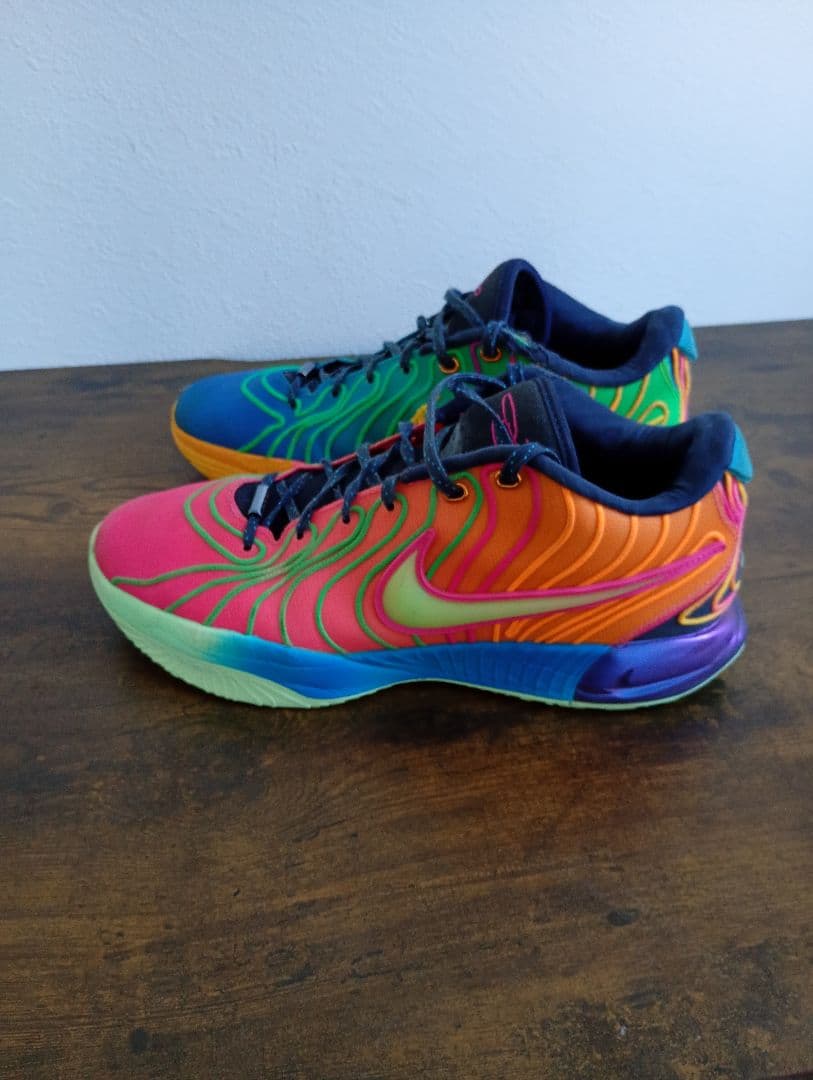 NIKE reborn21 レブロン21 バッシュ28cm値下げ交渉可能!