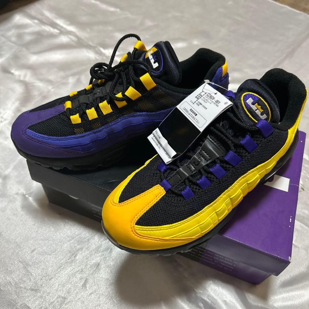 レブロンジェームズAIR MAX 95