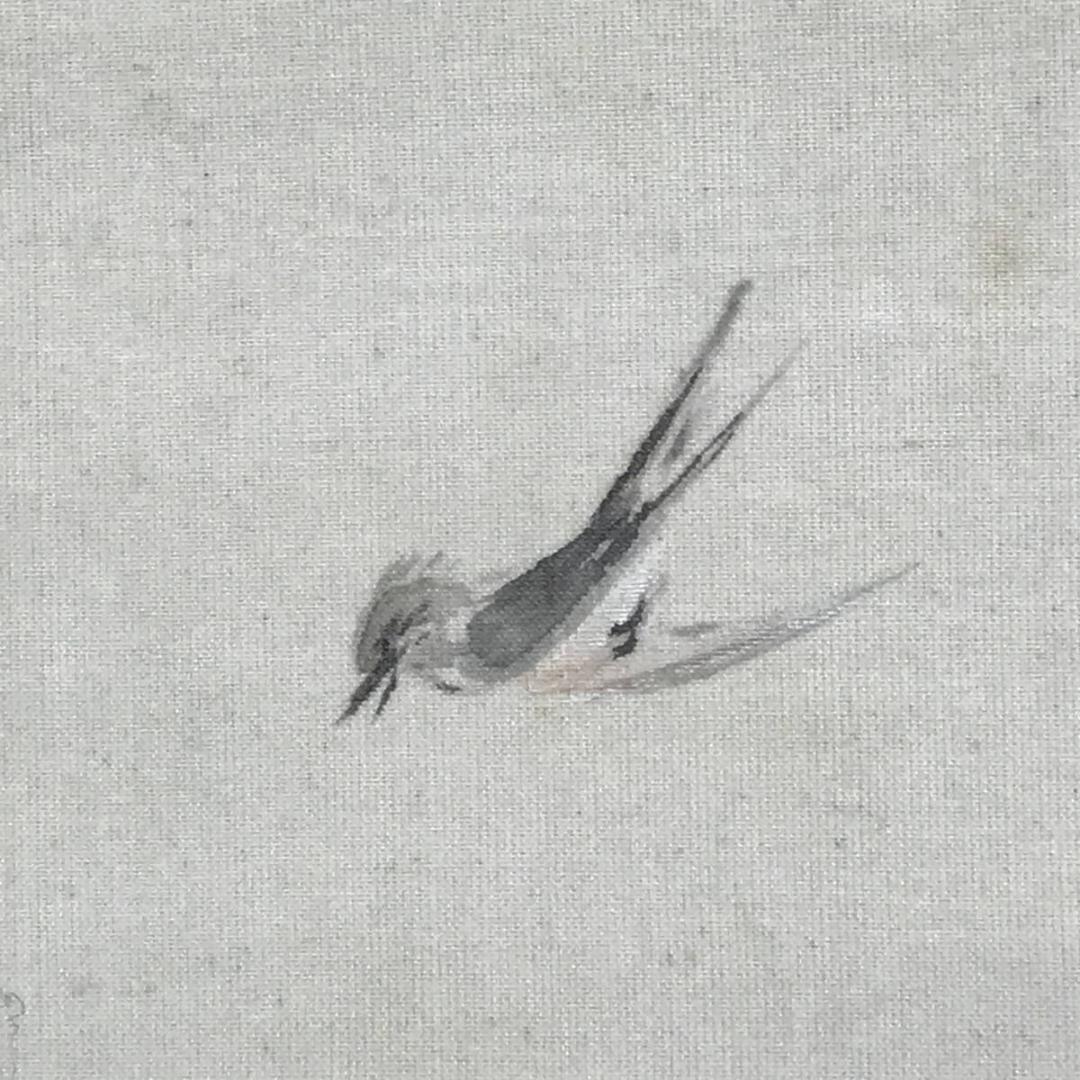真作/渡辺秋渓/富士山水ホトトギス図/掛軸/名家伝来/AE-12