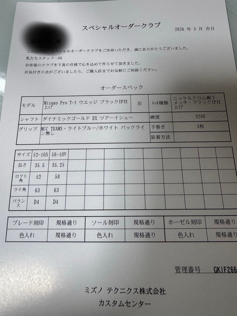 Mizuno Pro Ｔ-1 カスタムウェッジ 2本セット　DGツアーイシュー