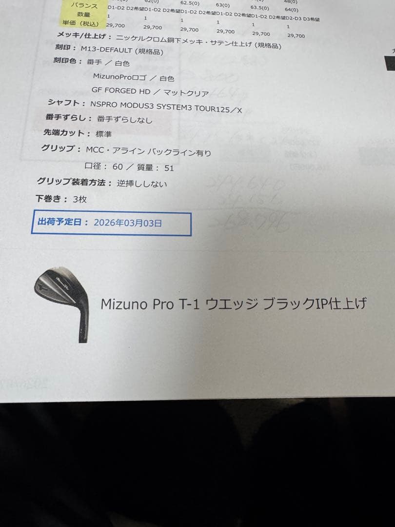 Mizuno Pro Ｔ-1 カスタムウェッジ 2本セット　DGツアーイシュー