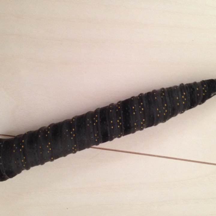 TI1 TITANLUM MESH ヨネックスバドミントンラケット