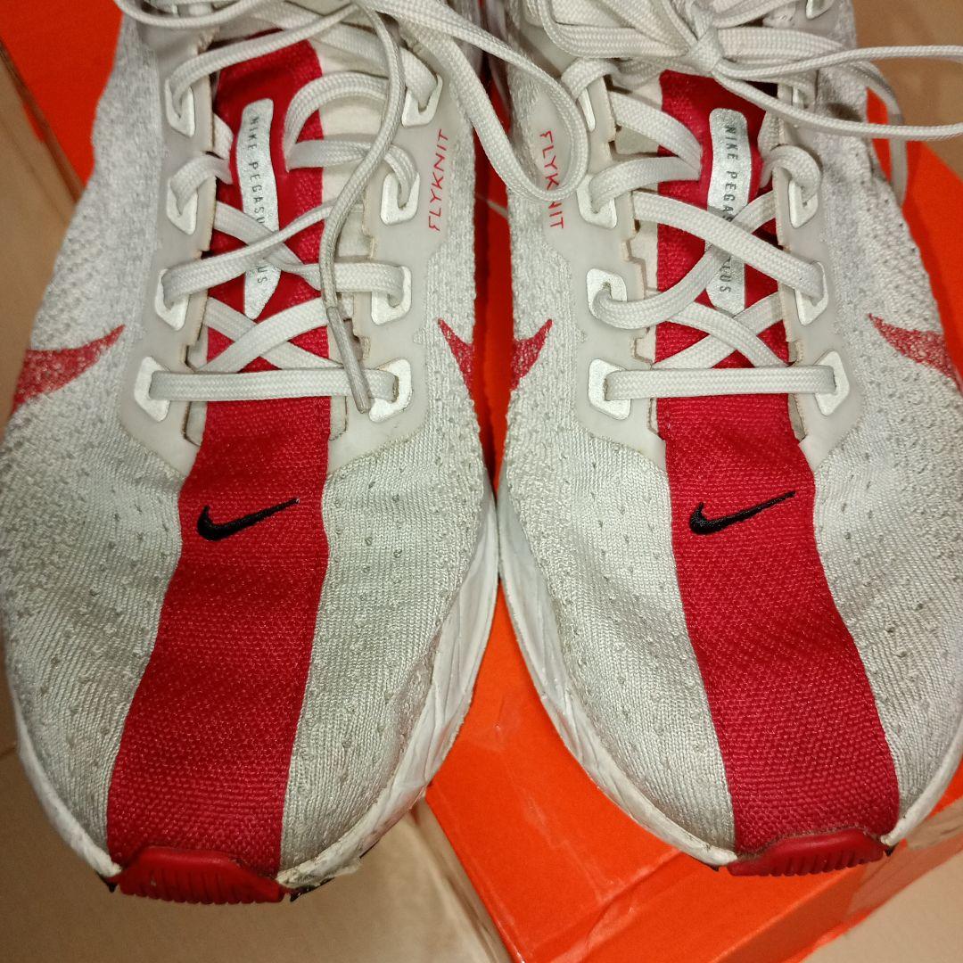 NIKE ペガサスプラス　26.0cm