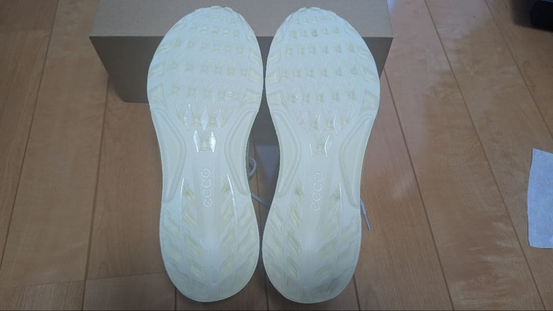Ecco Biom C4 - 数日間の限定出品