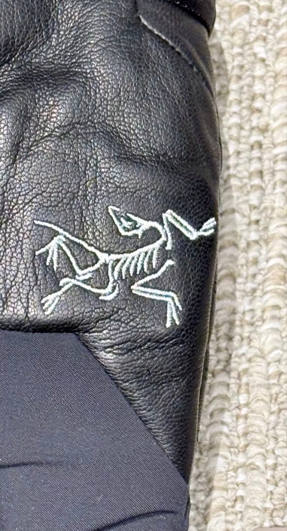 ARC’TERYX サイズ: S｜セイバー インデックス ミット