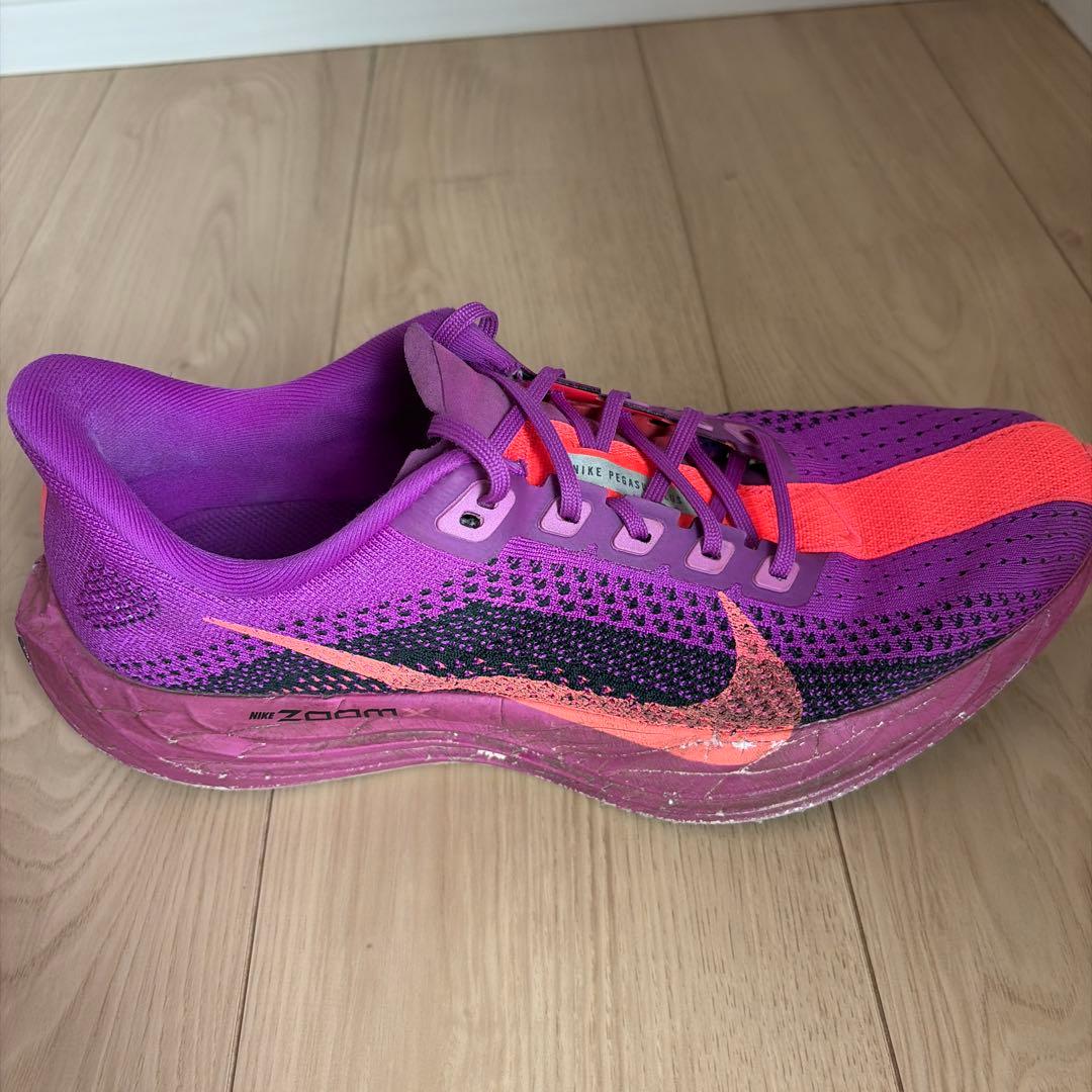 Nike ペガサスプラス　27.0cm