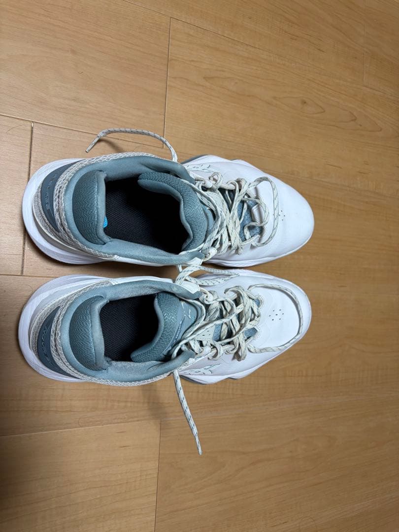 バスケットボールシューズ NOVA SURGE LOW 28.5cm
