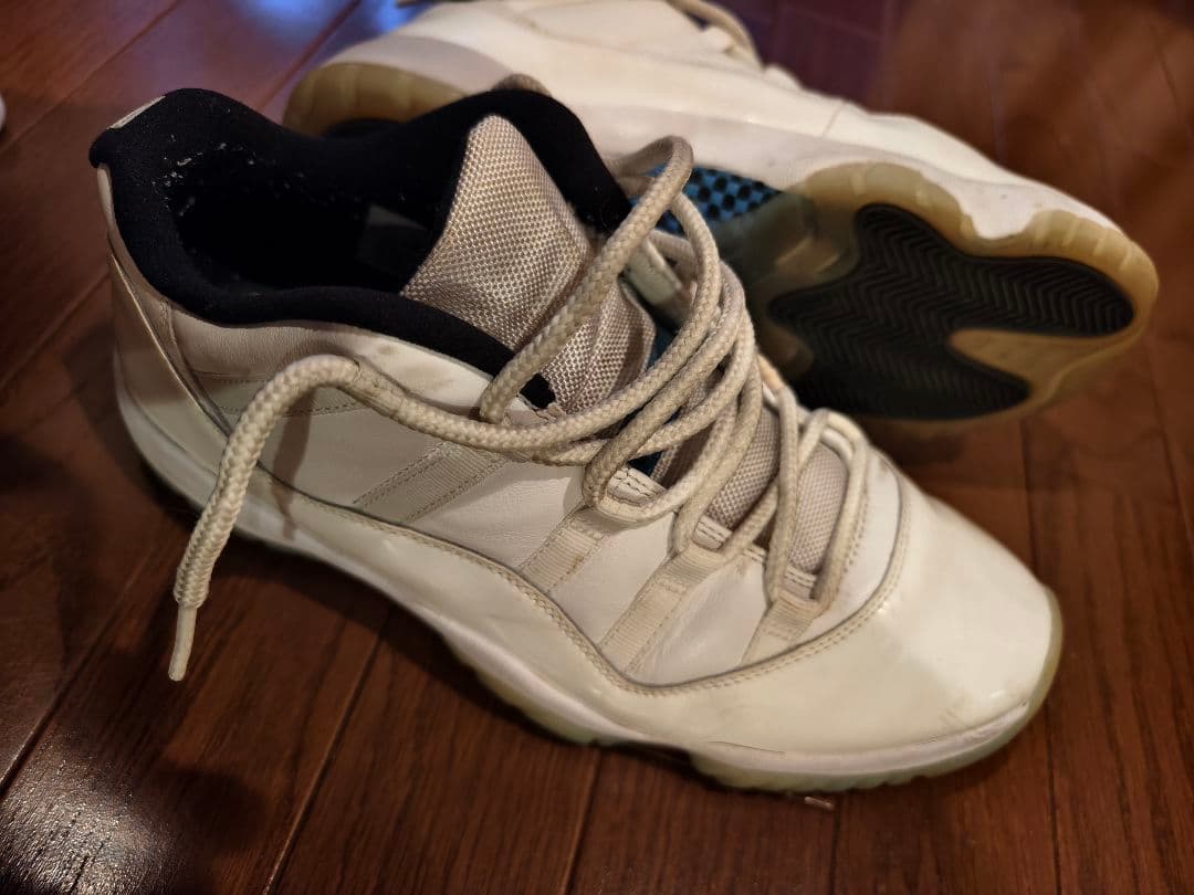 NIKE Air Jordan 11（エアジョーダン11）29cm