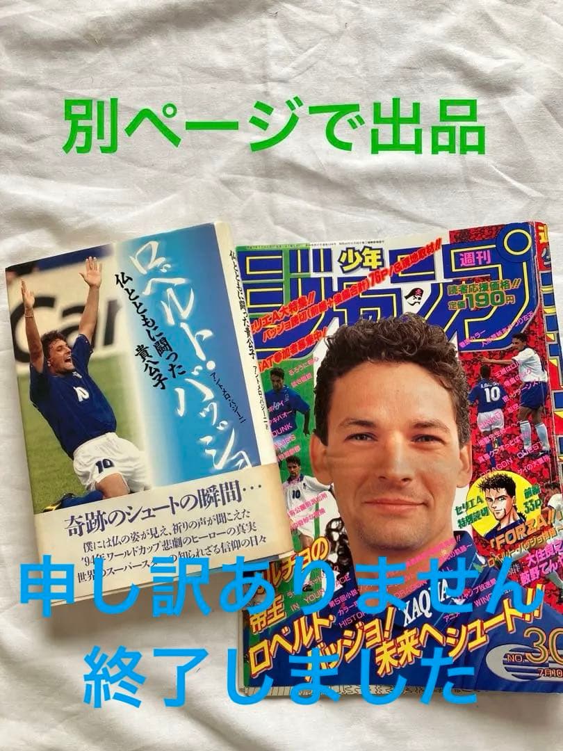 サッカー ワールドカップ 94アメリカ大会 tシャツ(未着用)