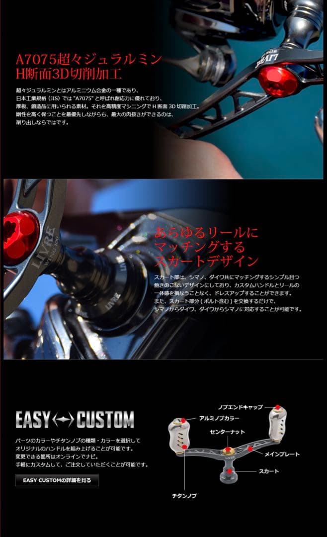 LIVRE WING 100 ダブルハンドル　カスタムバランサーセット