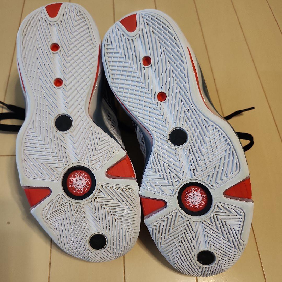 エアジョーダン　バッシュAIR JORDAN　LOW PF　25.0㌢