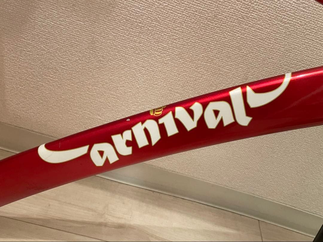 レア CARNIVAL Tee19 ピスト フレーム