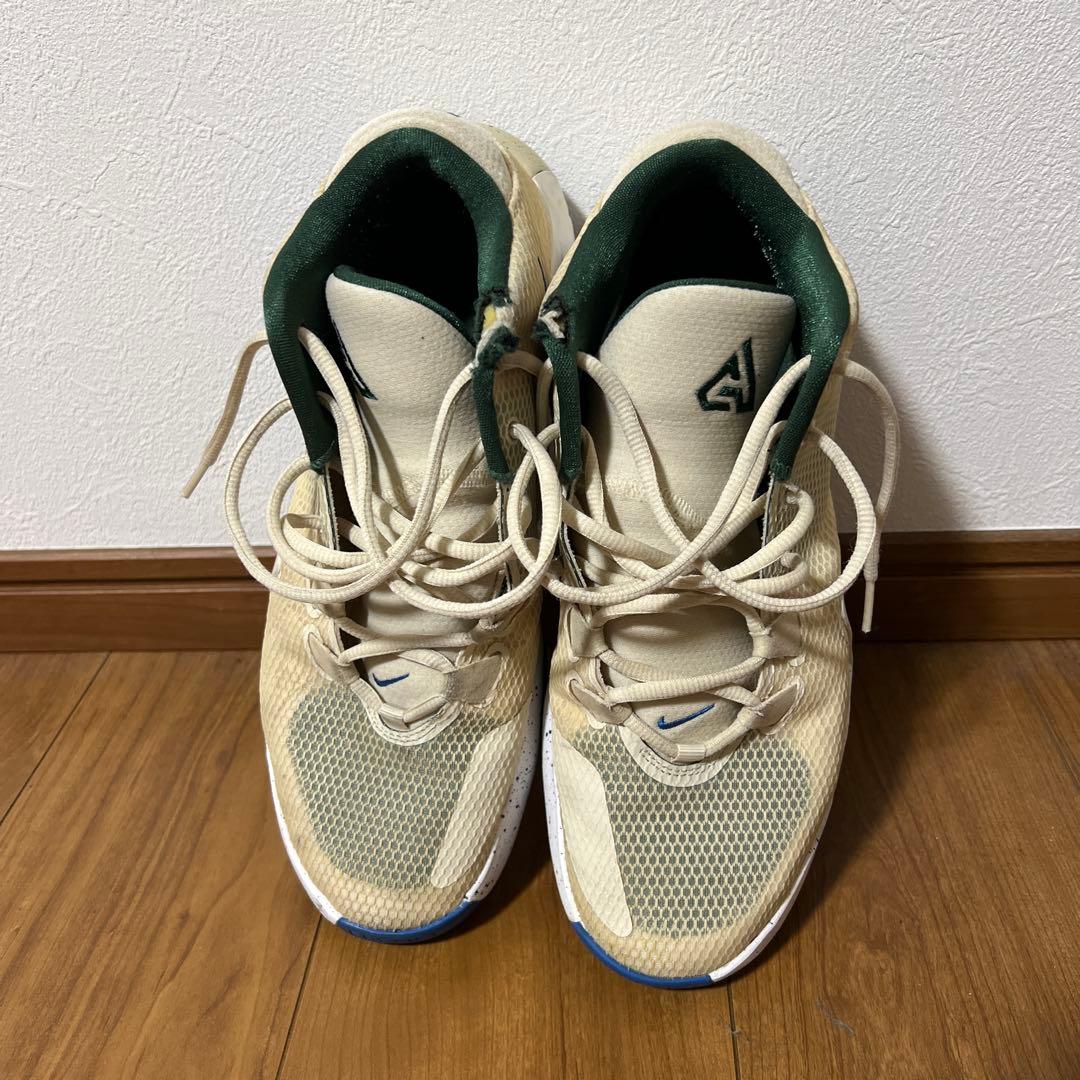 NIKE zoom freak 1 ナイキ　ズームフリーク1