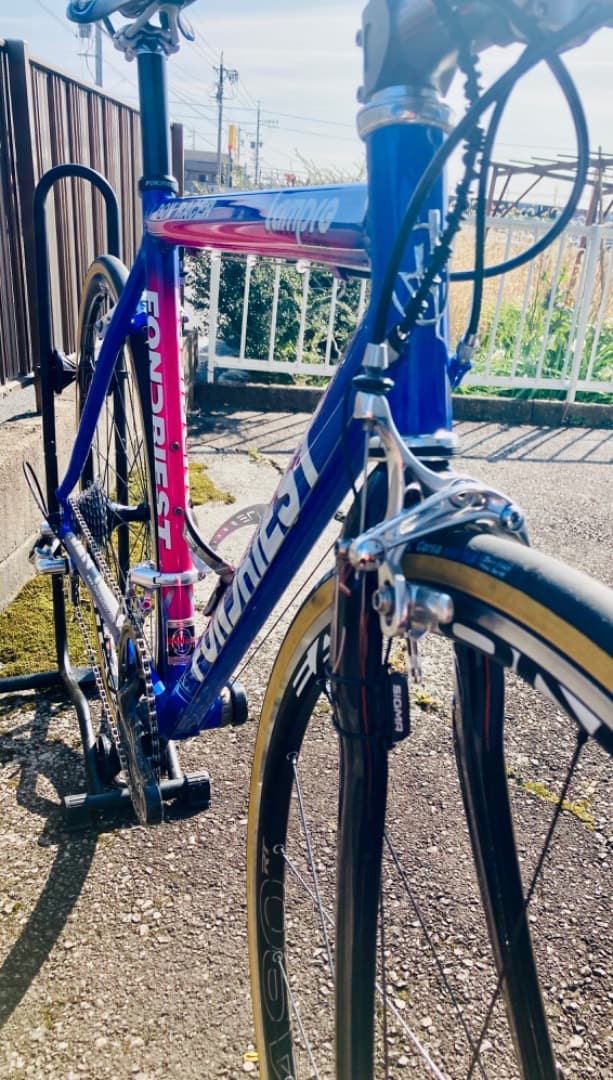 FONDRIEST DON RACER lampreカラー　ロードバイク