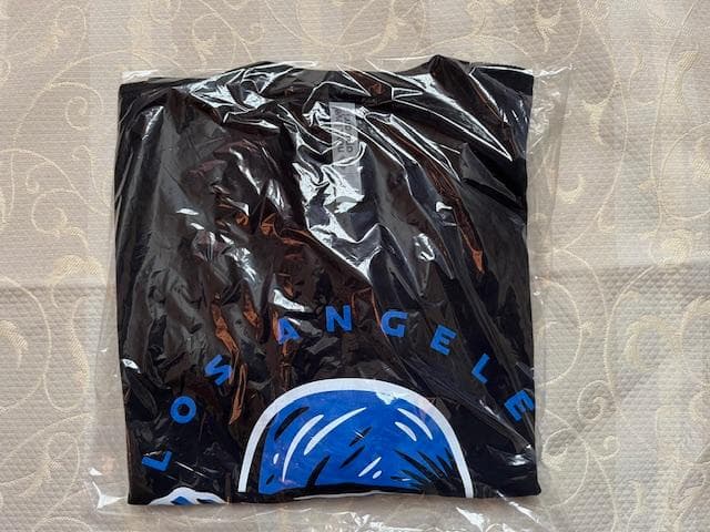 大谷翔平デコルテポーズ”TheSkincare Swipe”Tshirts L