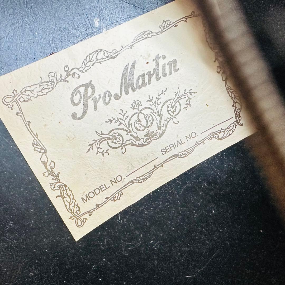 Pro Martin エレアコ