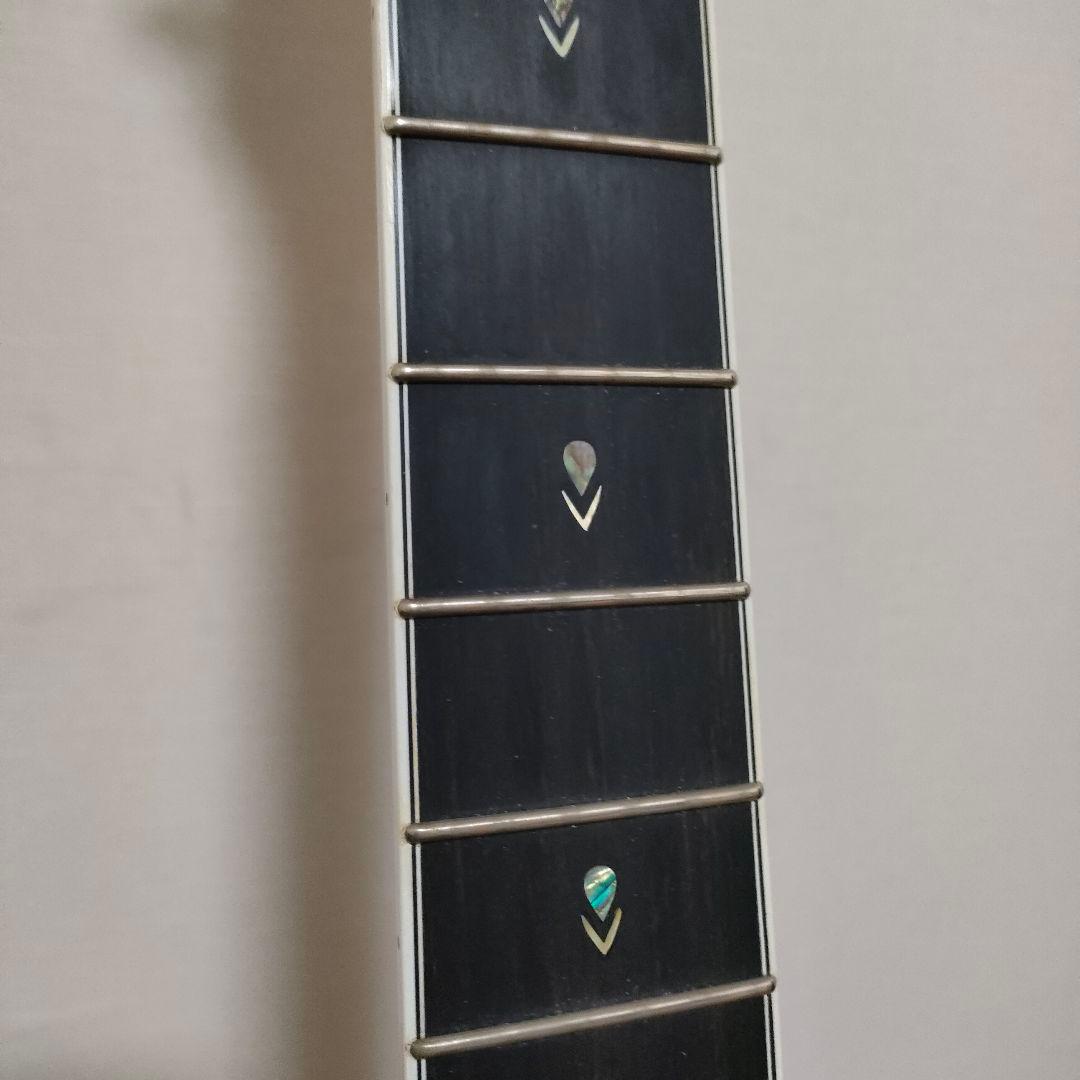 【美品】CORT Gold-A8 Light Burst アコギ エレアコ