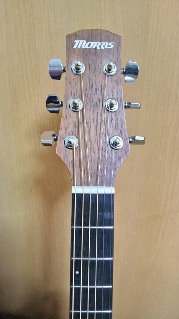 ❤️弦高調整済！「MORRIS モーリス M-011 NAT」＋ショルダーケース