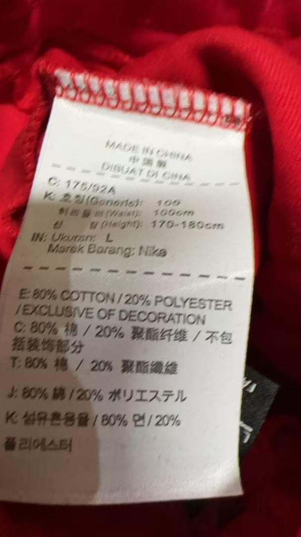 NIKE セットアップ テックフリース L