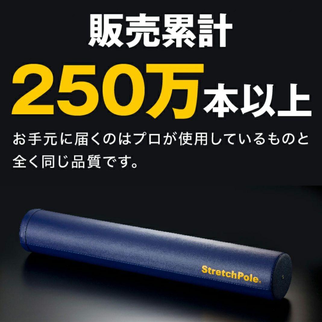 【極美品】LPN ストレッチポールEX ネイビー 紺色