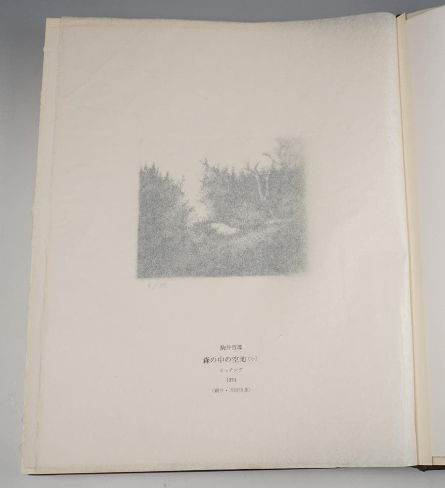 駒井哲郎版画作品集 限定A版 限定50部（皮装）