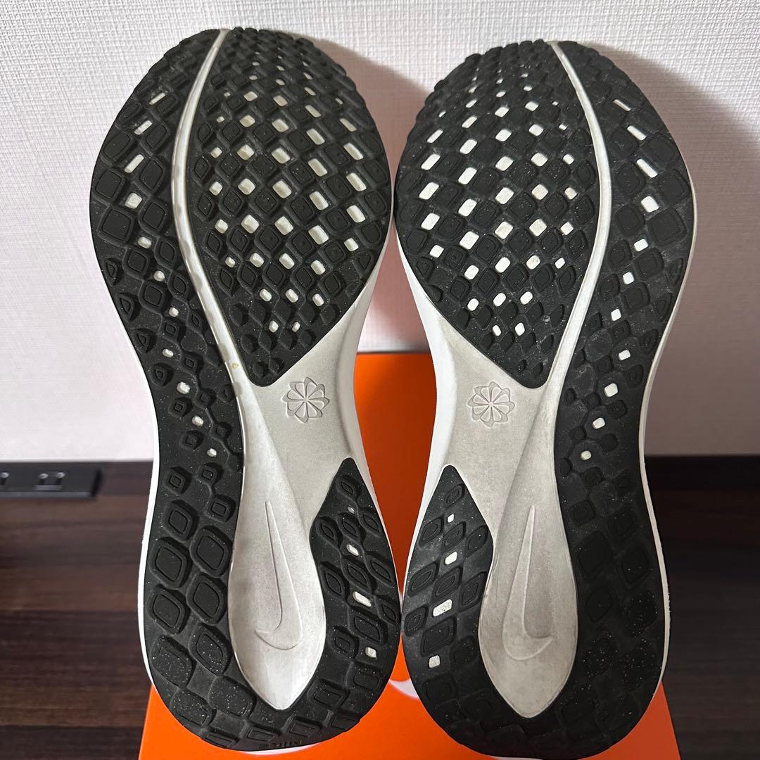 NIKE エア ズーム ペガサス 41 限定品