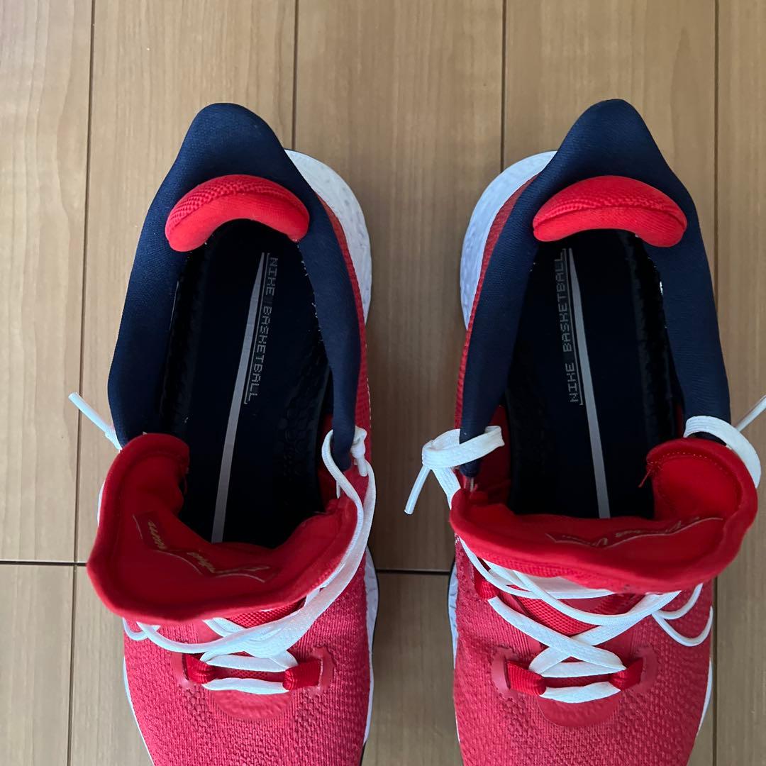 Nike Zoom バスケットボールシューズ サイズは27cm