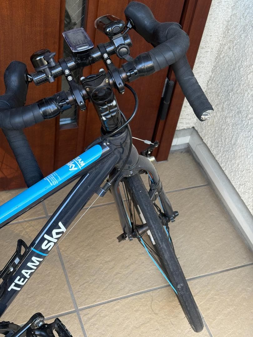 子供用　20インチバイク　Frog Road TEAMSky 改造あり