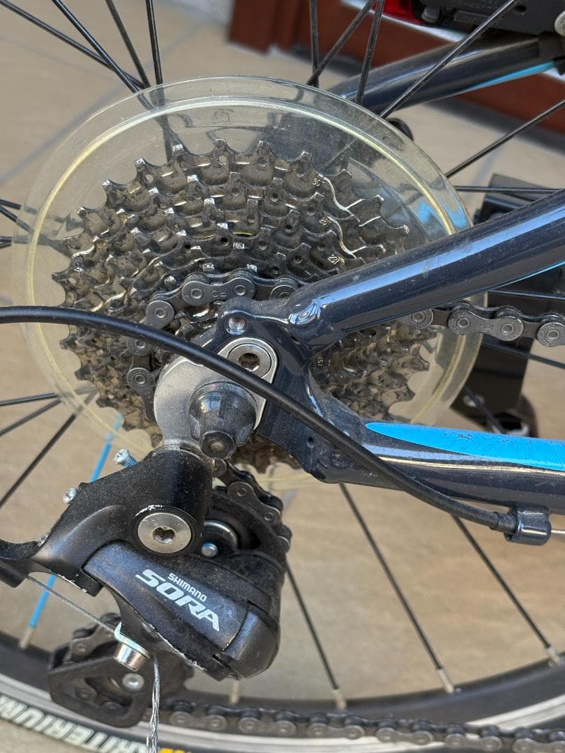 子供用　20インチバイク　Frog Road TEAMSky 改造あり