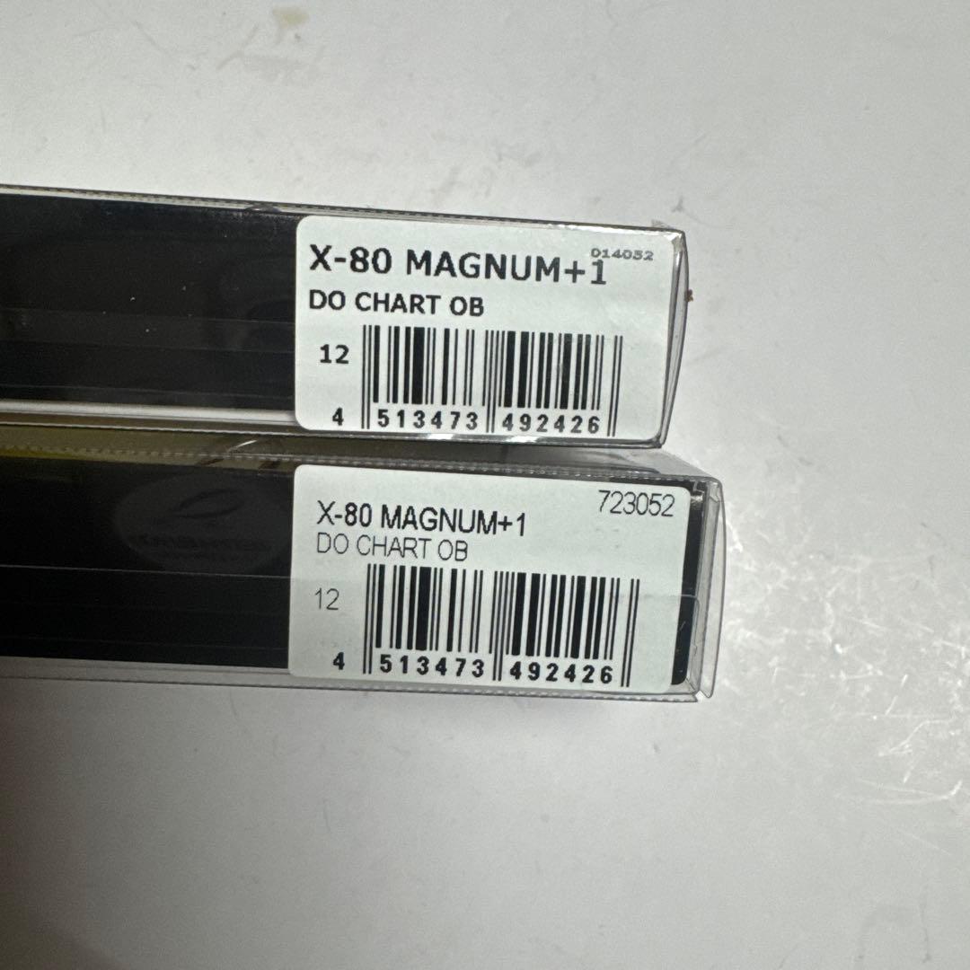 【値下げ】メガバス　x-80マグナム +1 どチャート