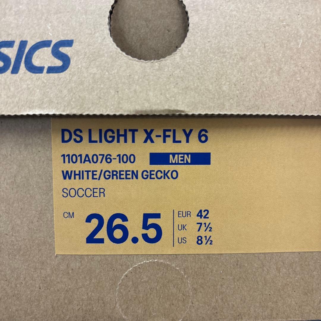 アシックスDSライト