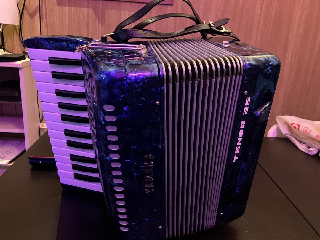 YAMAHA TENOR 25 アコーディオン
