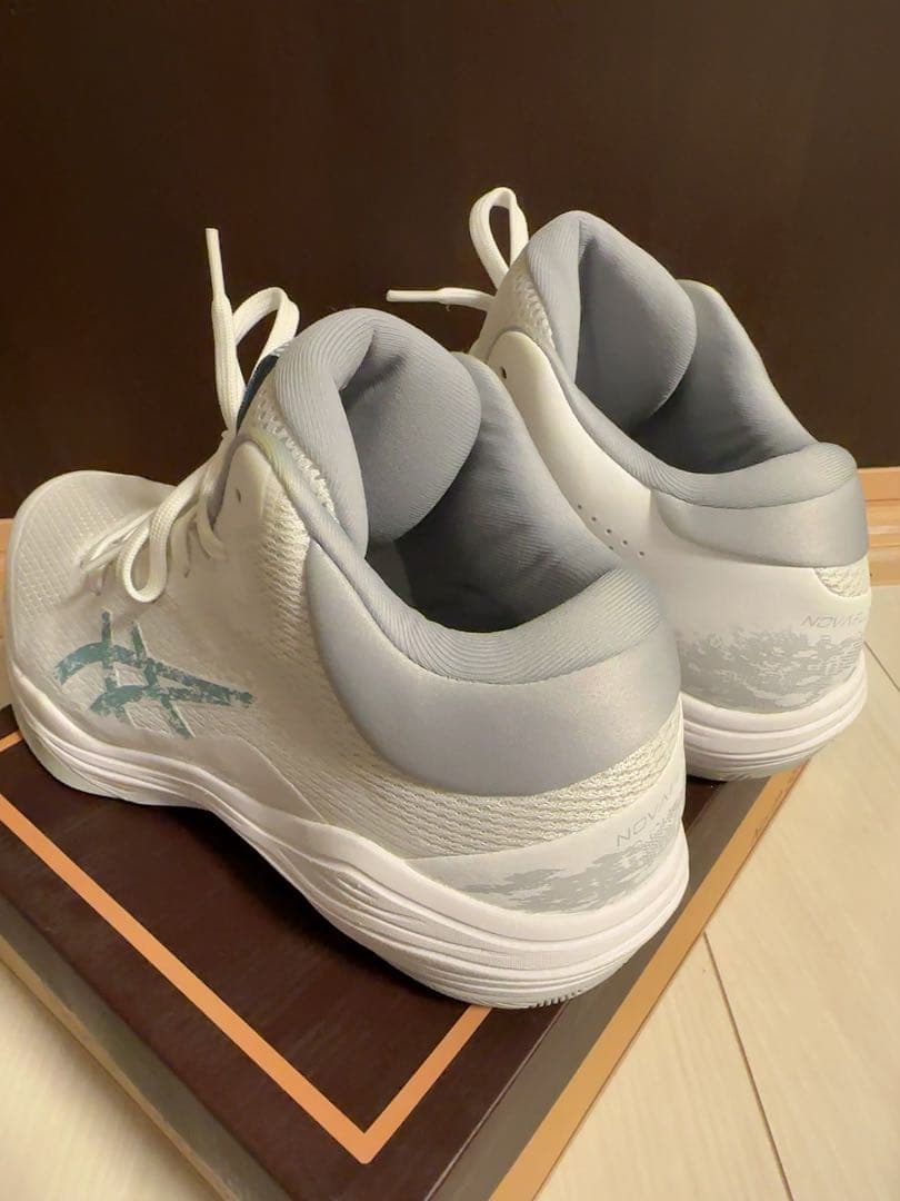 ☘️ 価格が下がりました☘️ バスケットボール アシックNOVAFLOW 2