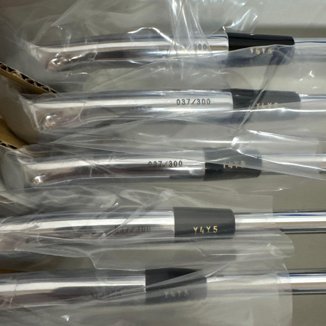 ミズノ　ミズノプロ　TN-87 アイアン　10本セット