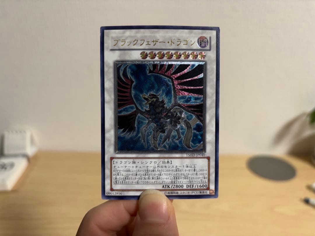 遊戯王レリーフ10枚セット