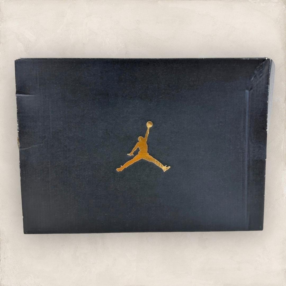 【新品・箱タグ付】NIKE ナイキ JORDAN COURT VISION 00