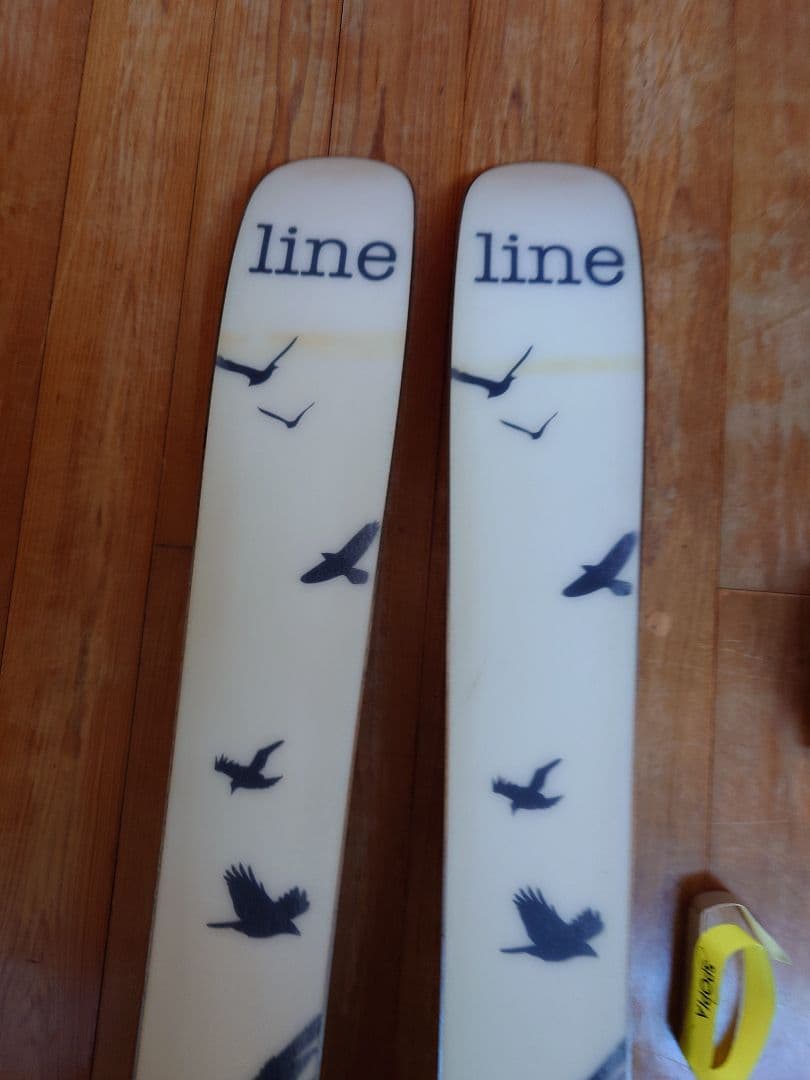 LINE　ライン　サー フランシス ベーコン　2016　145cm