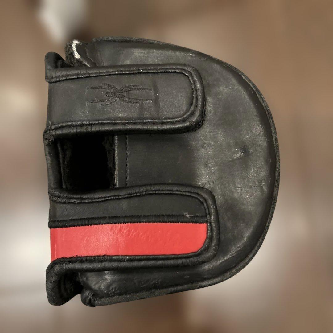 【値下げ】Taylormade ゴーストスパイダーSi パター センターシャフト