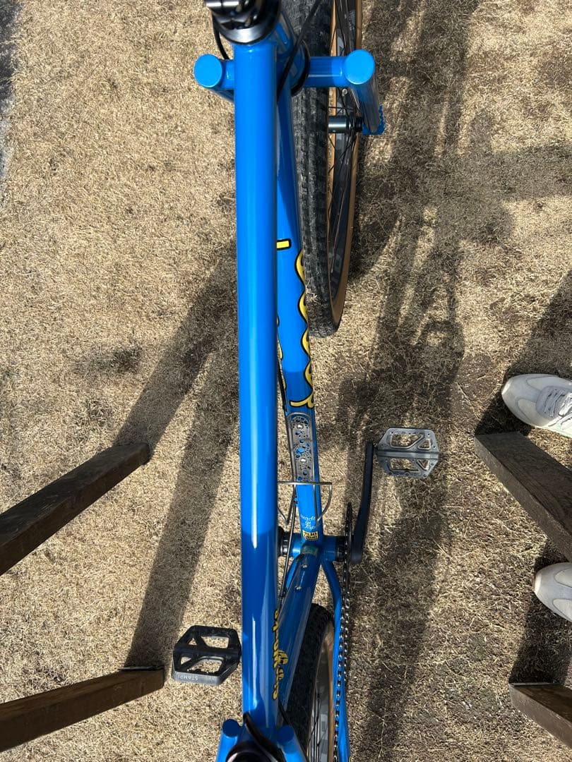 シムワークスSIMWORKS / Doppo MTB サイズL 完成車