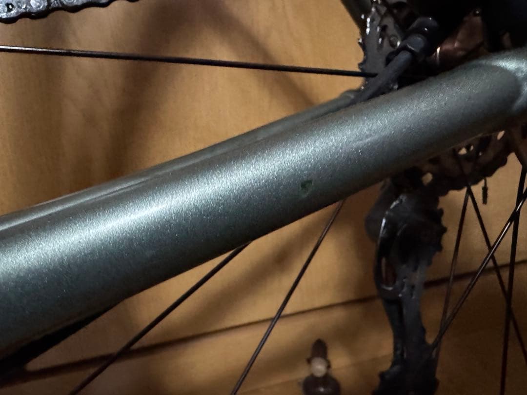 2025年モデル　TREK DOMANE AL5