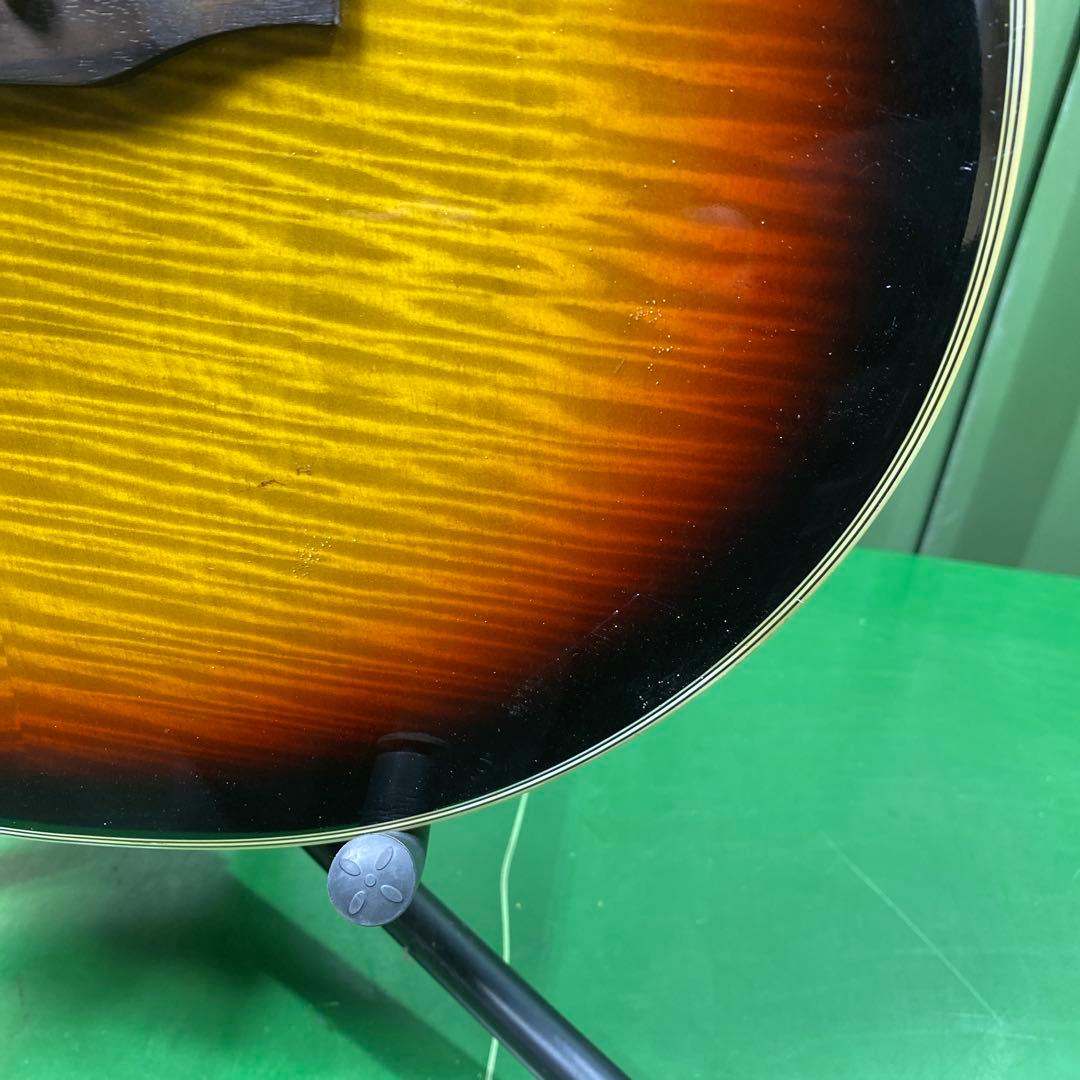 【現状品】Pro Martin EA500W VS アコースティックギター