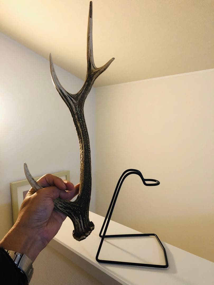 鹿の角とアイアンで作り上げた最強の釣竿置き、最高に超かっこいいディスプレイ