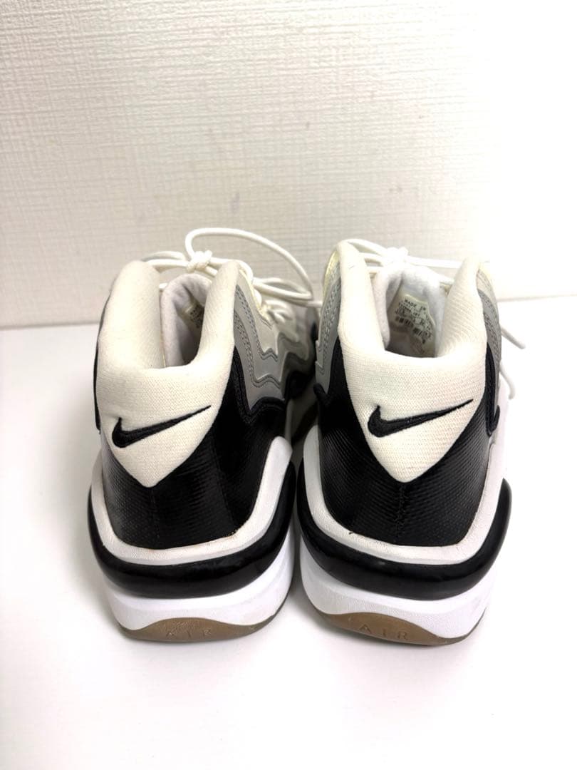 シューズ(男性用) NIKE AIR ZOOM FLIGHT 96 GRAY GRADATION