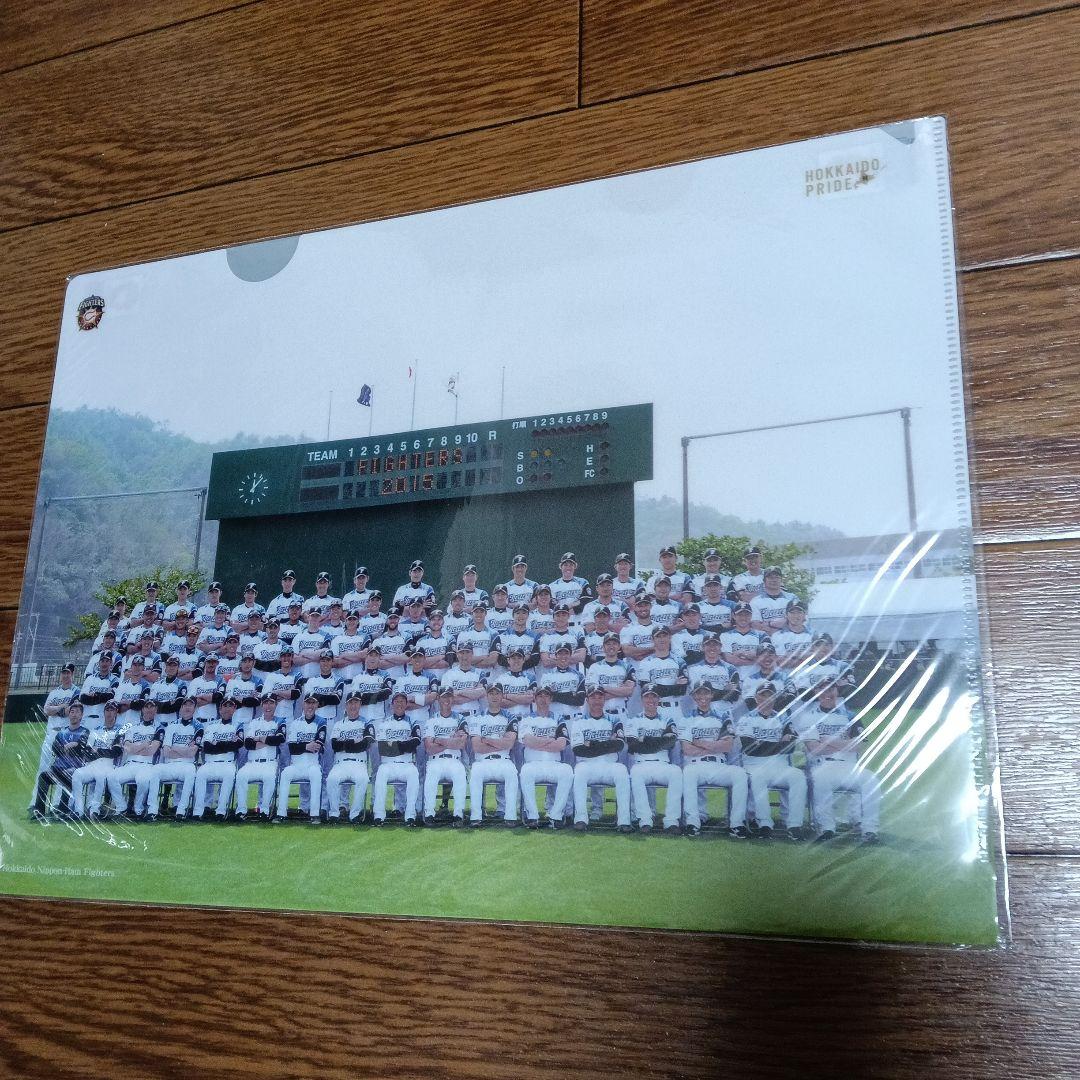 非売品　希少大谷翔平二刀流北海道日本ハムファイターズ クリアファイル日ハム野球