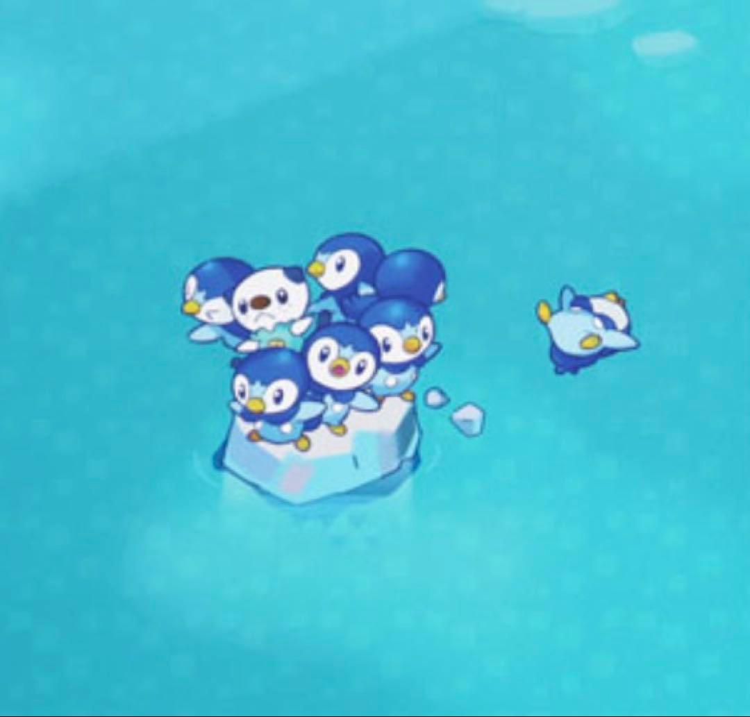 ポケモン　ポッチャマ　ミジュマル　Tシャツ