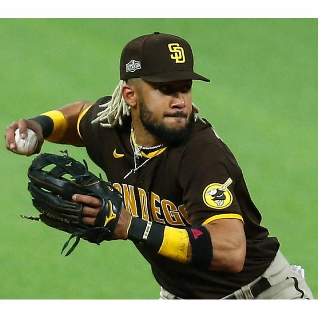 タティスJr.選手モデル　ミズノプロ硬式内野用グローブ
