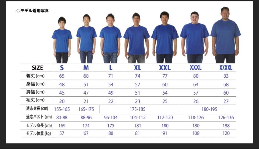 ライオンズ　ユニホーム　ＸＬ　相当　ゲームシャツ　イングランド　ウェールズ