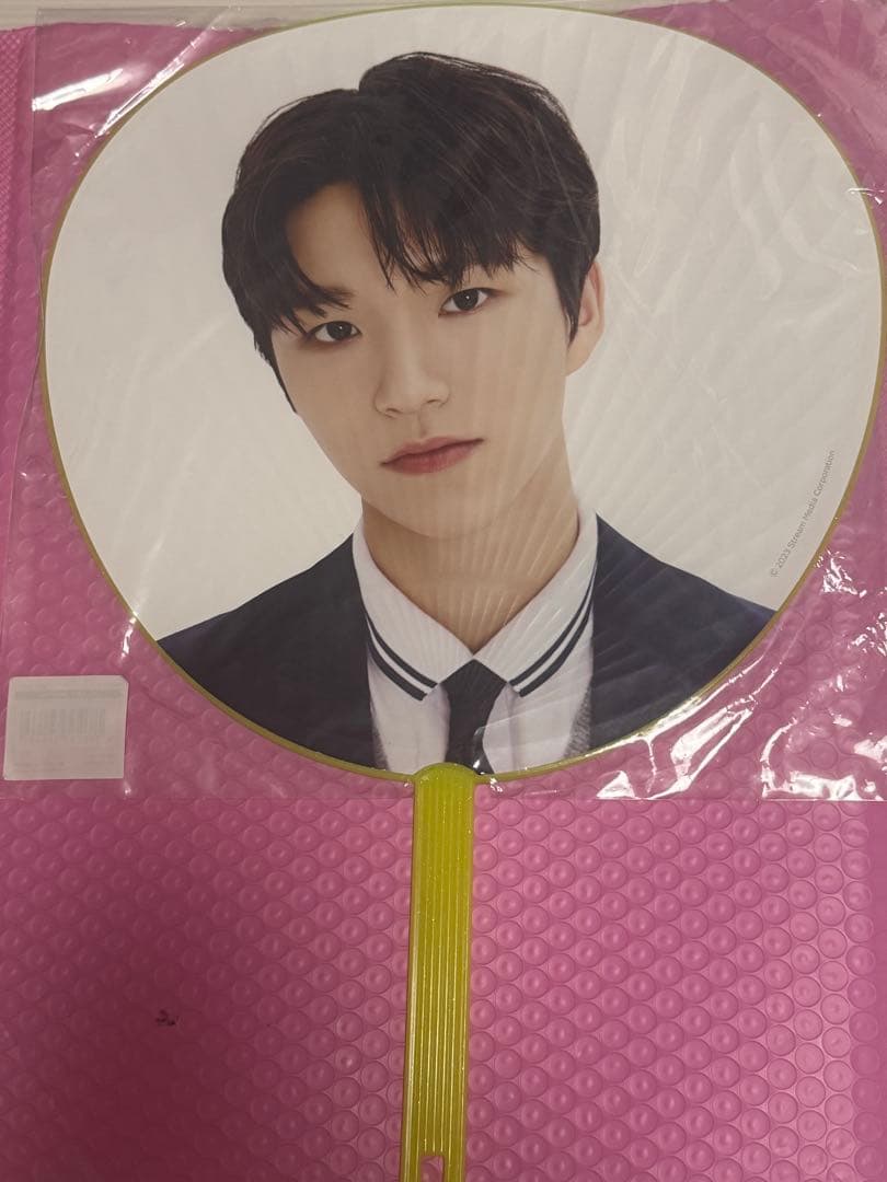 nctwish nctnewteam ジェヒ デヨン うちわ 団扇 jaehee