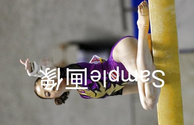 女子体操画像集 2016年全日本体操 種目別 2/2 高画質写真！7500枚